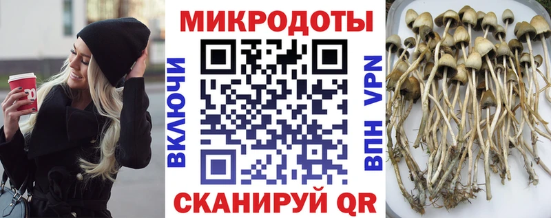 Псилоцибиновые грибы Psilocybe  KRAKEN сайт  Орёл 